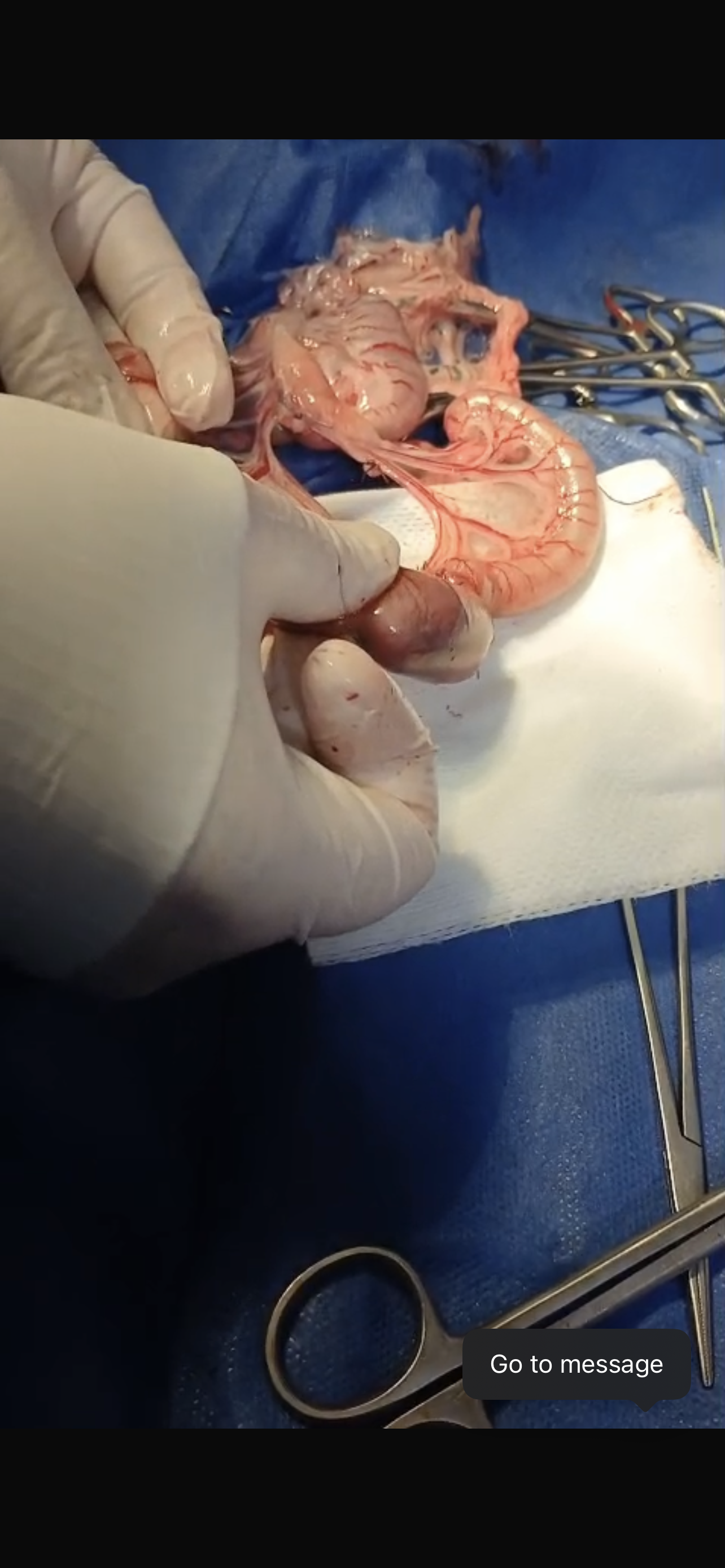 صورة المعرض