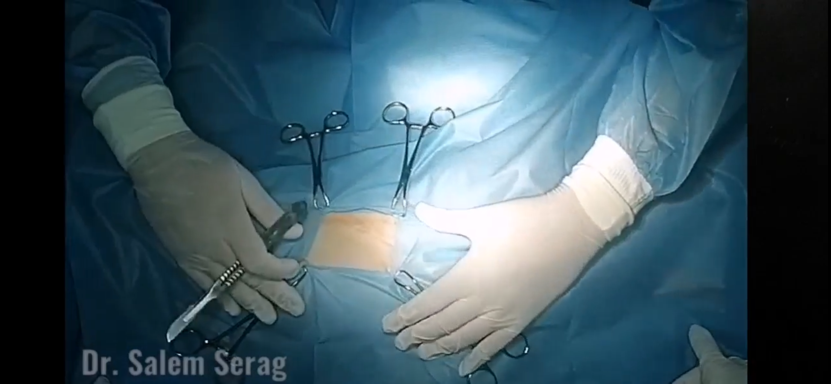 صورة المعرض