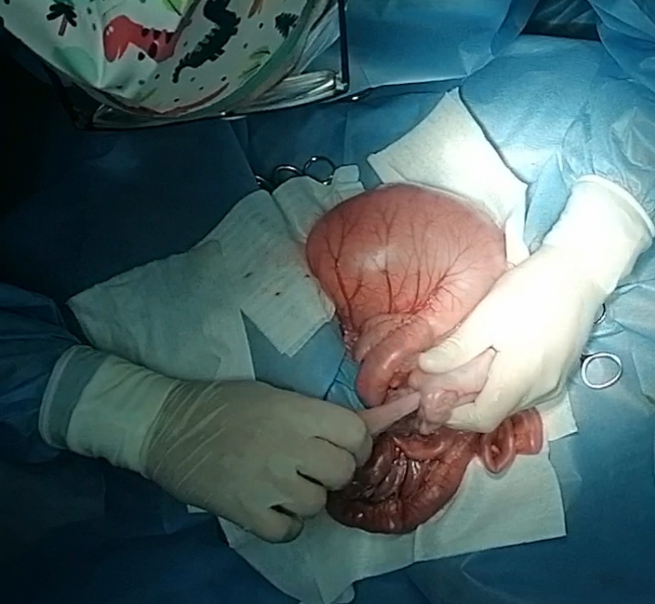 صورة المعرض