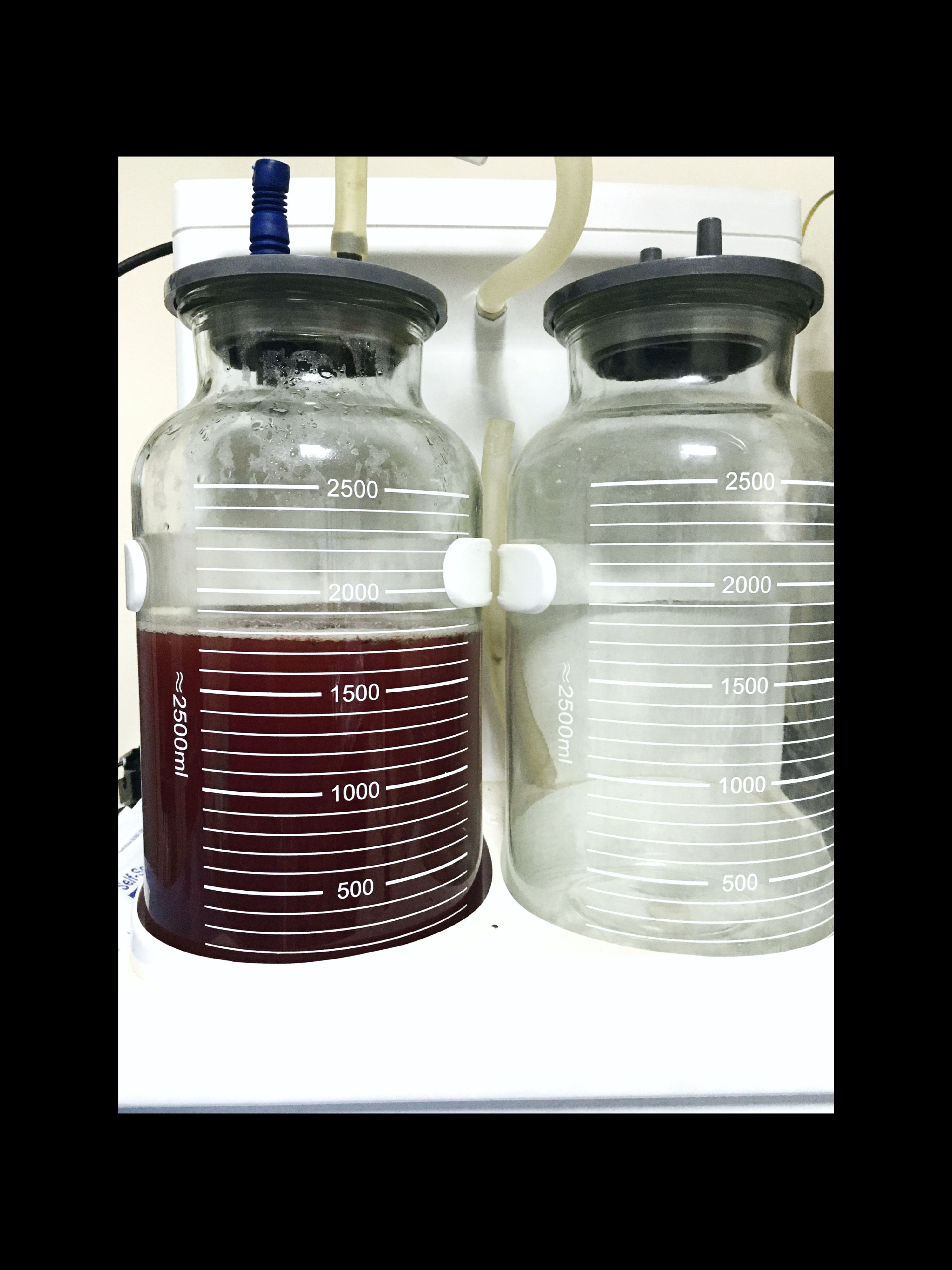 صورة المعرض