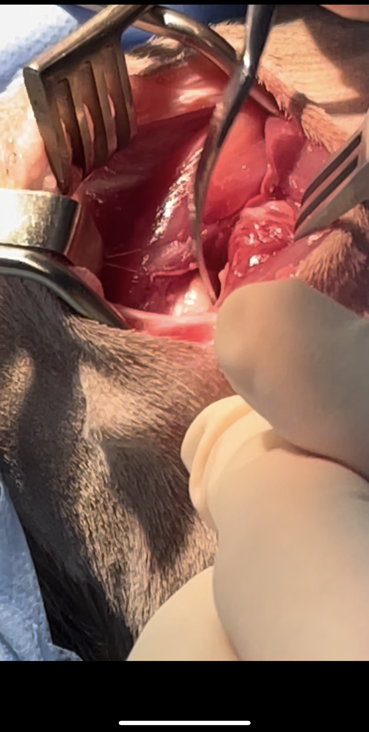 صورة المعرض