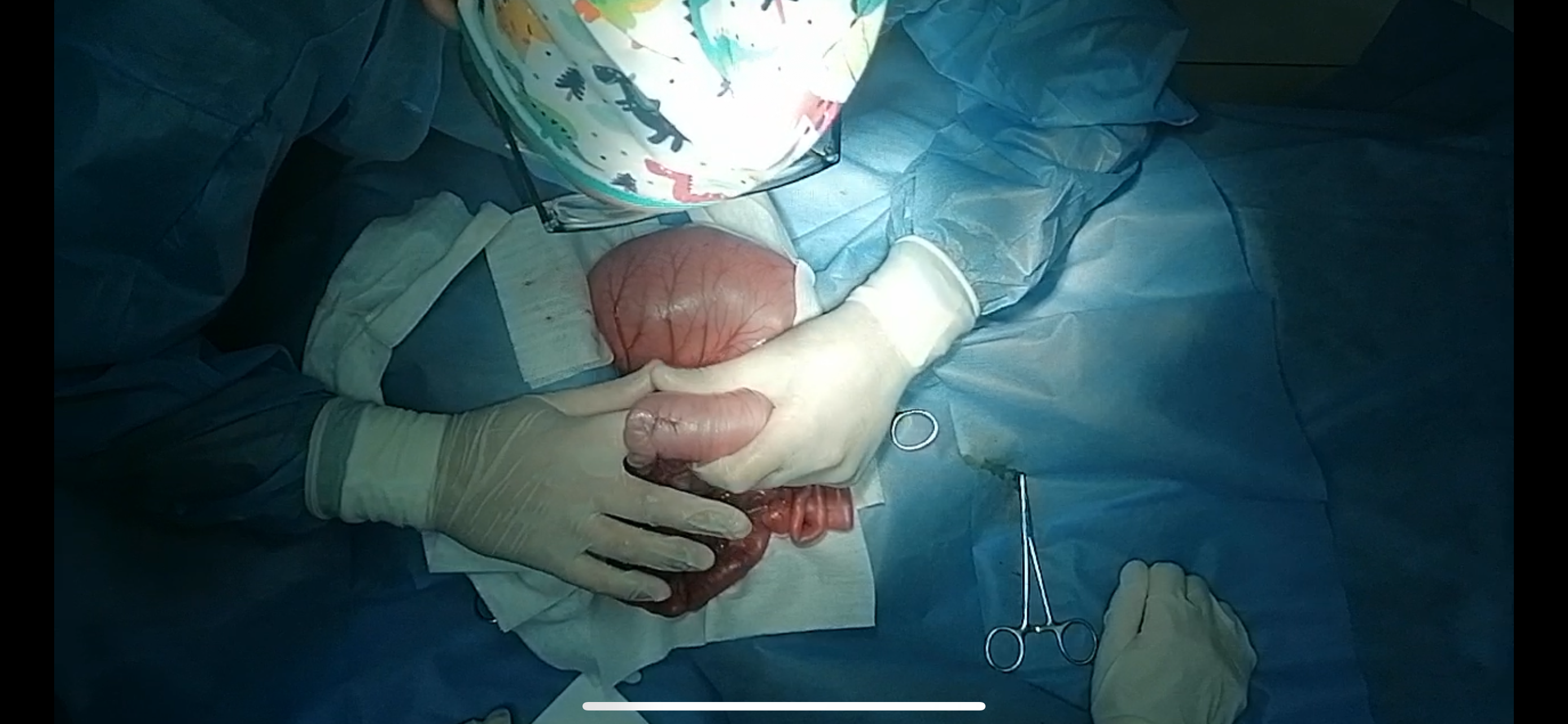 صورة المعرض