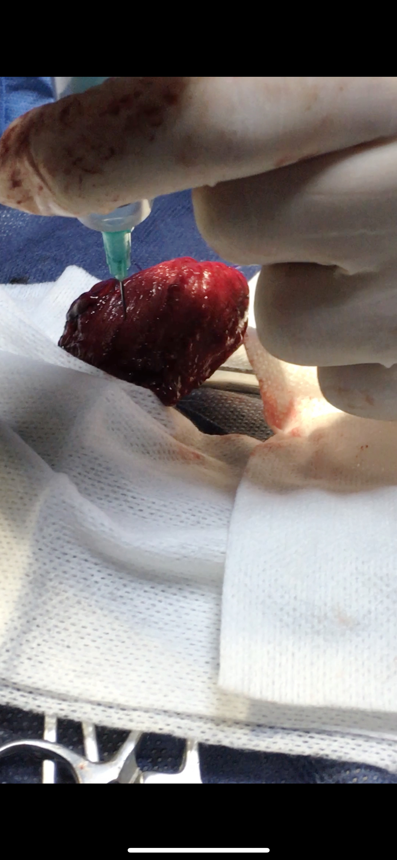 صورة المعرض