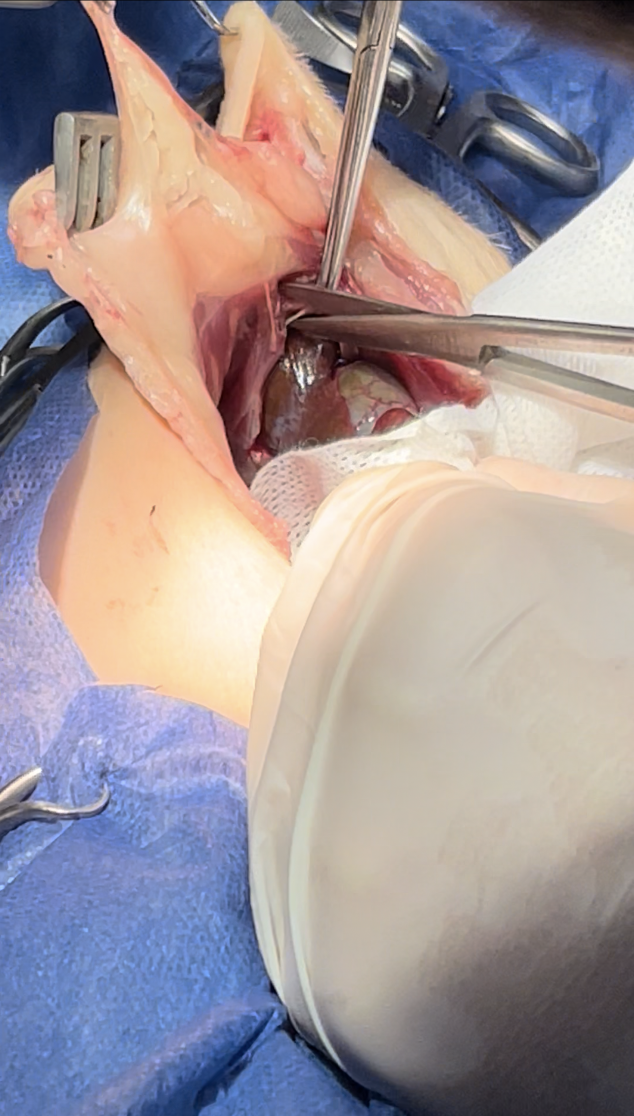 صورة المعرض