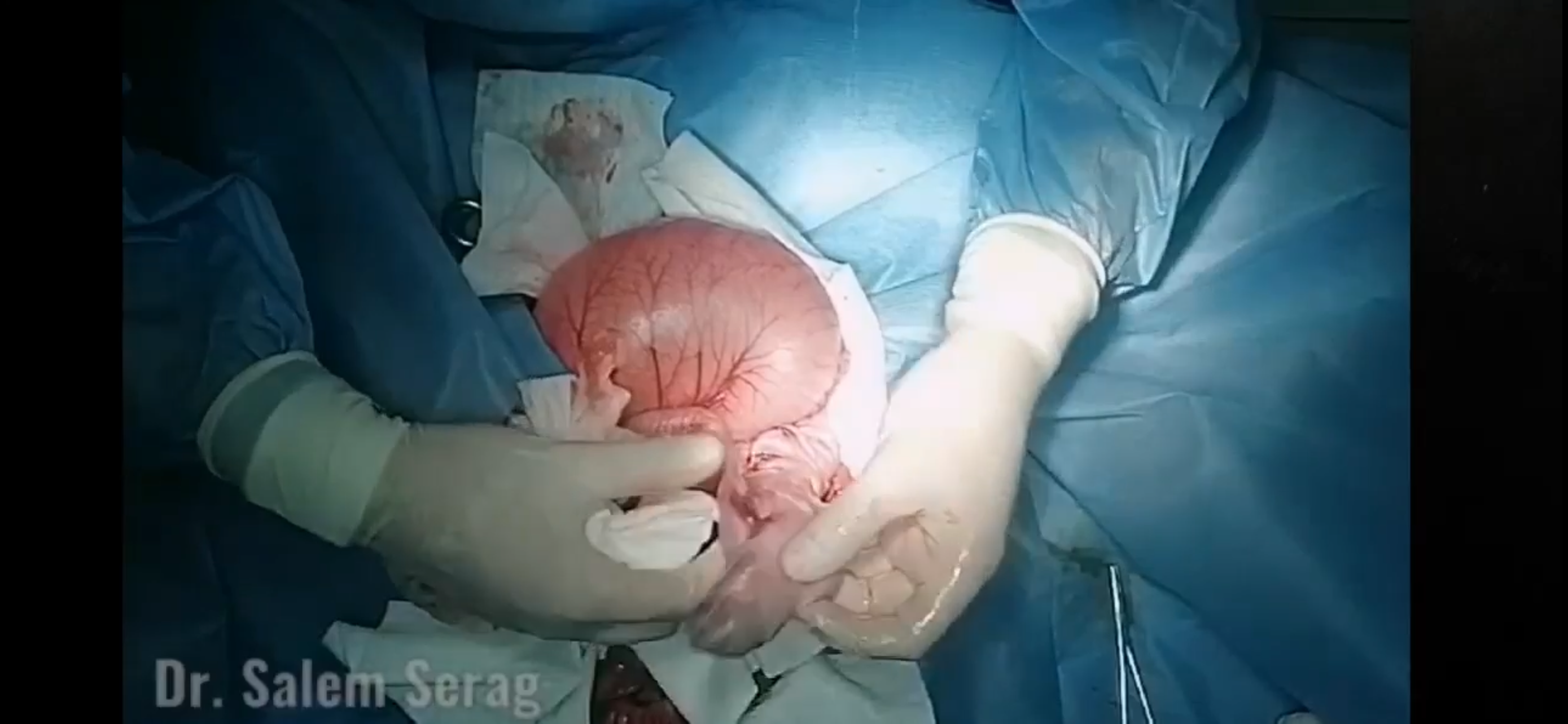 صورة المعرض