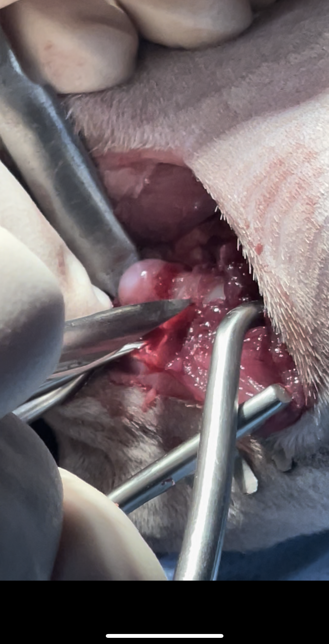 صورة المعرض