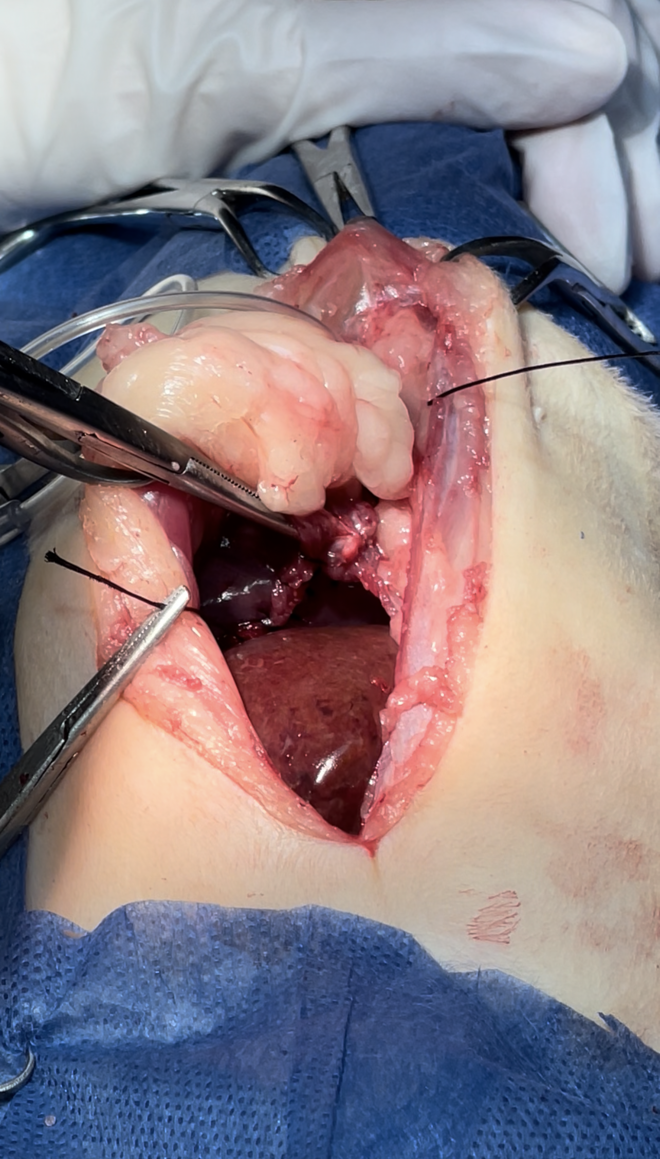 صورة المعرض