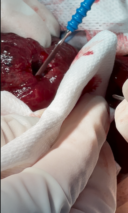 صورة المعرض