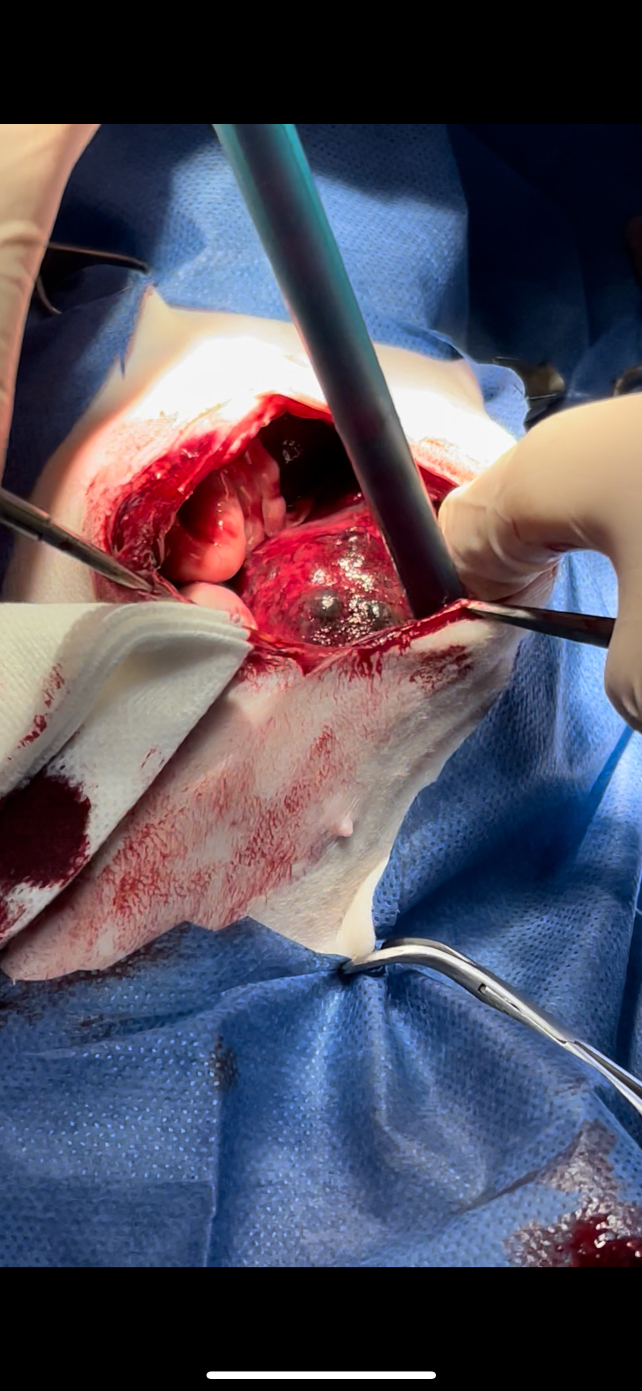 صورة المعرض