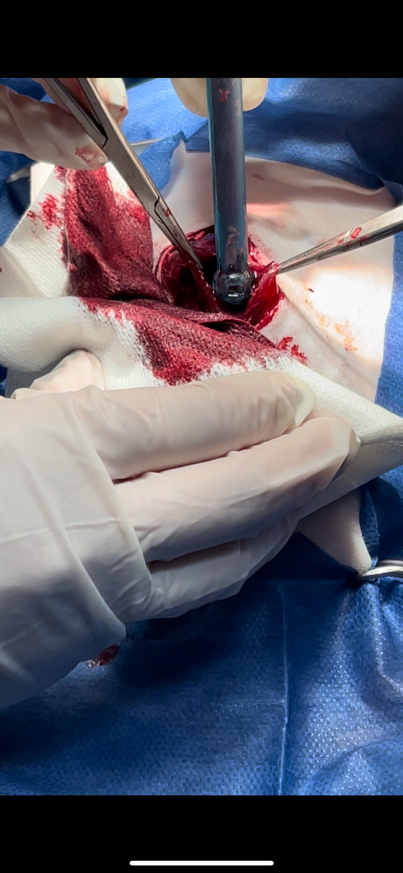 صورة المعرض