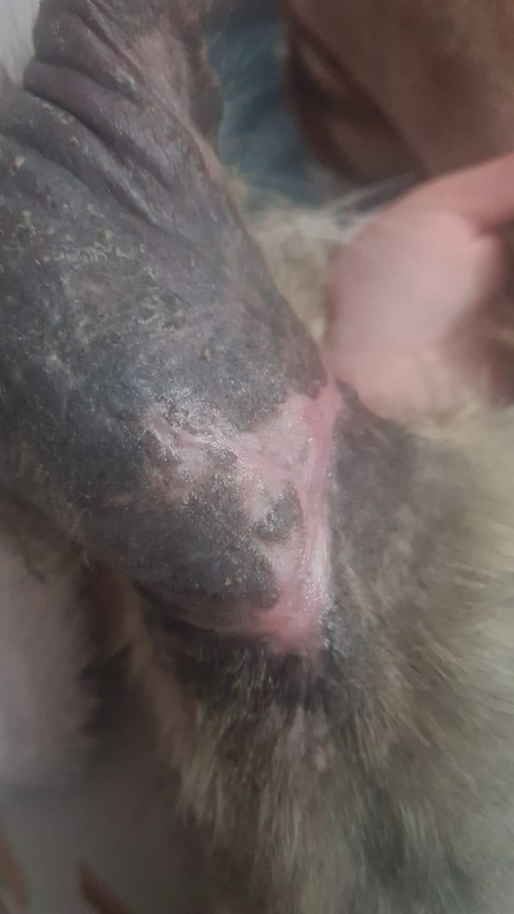 صورة المعرض