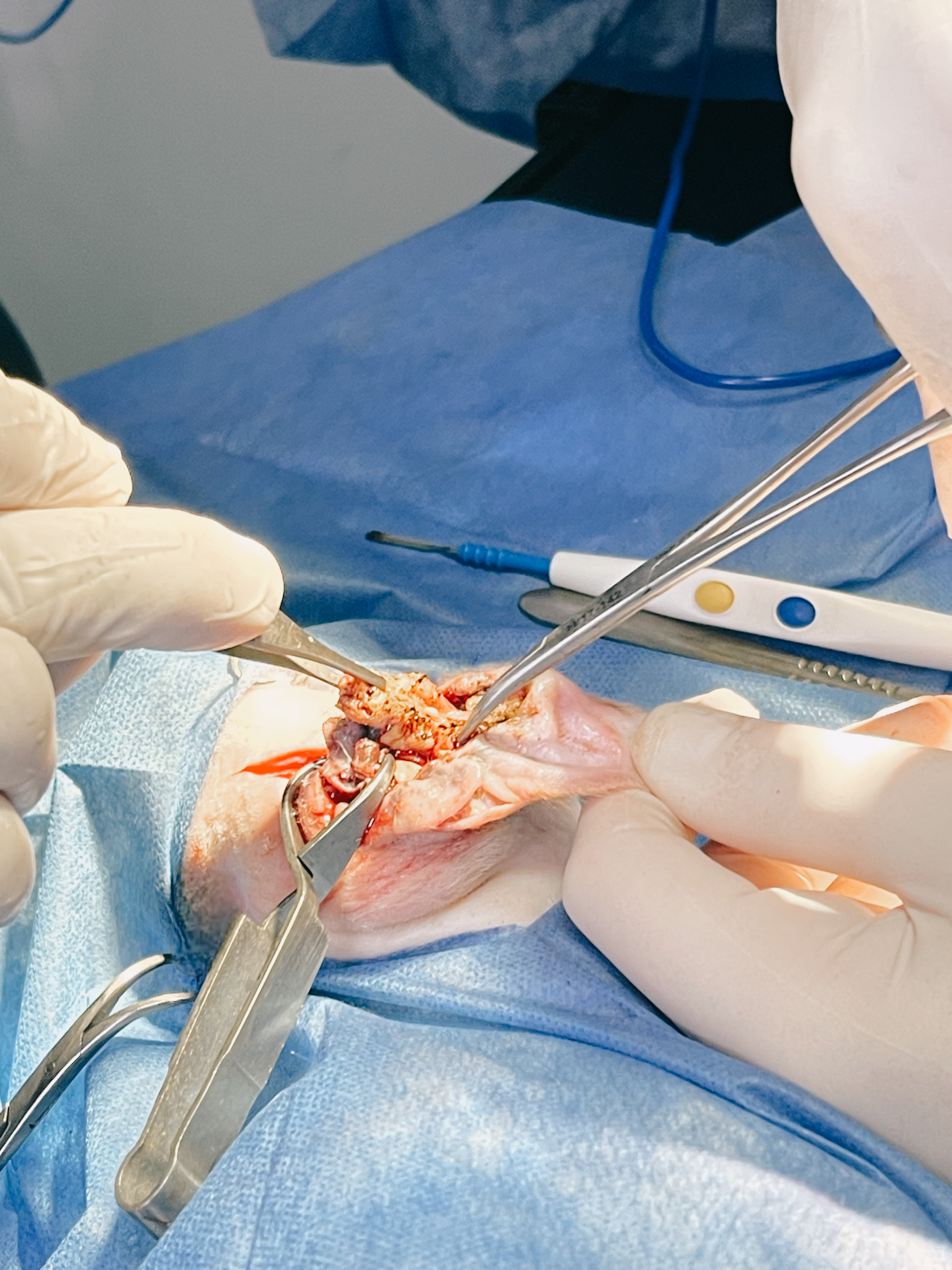 صورة المعرض