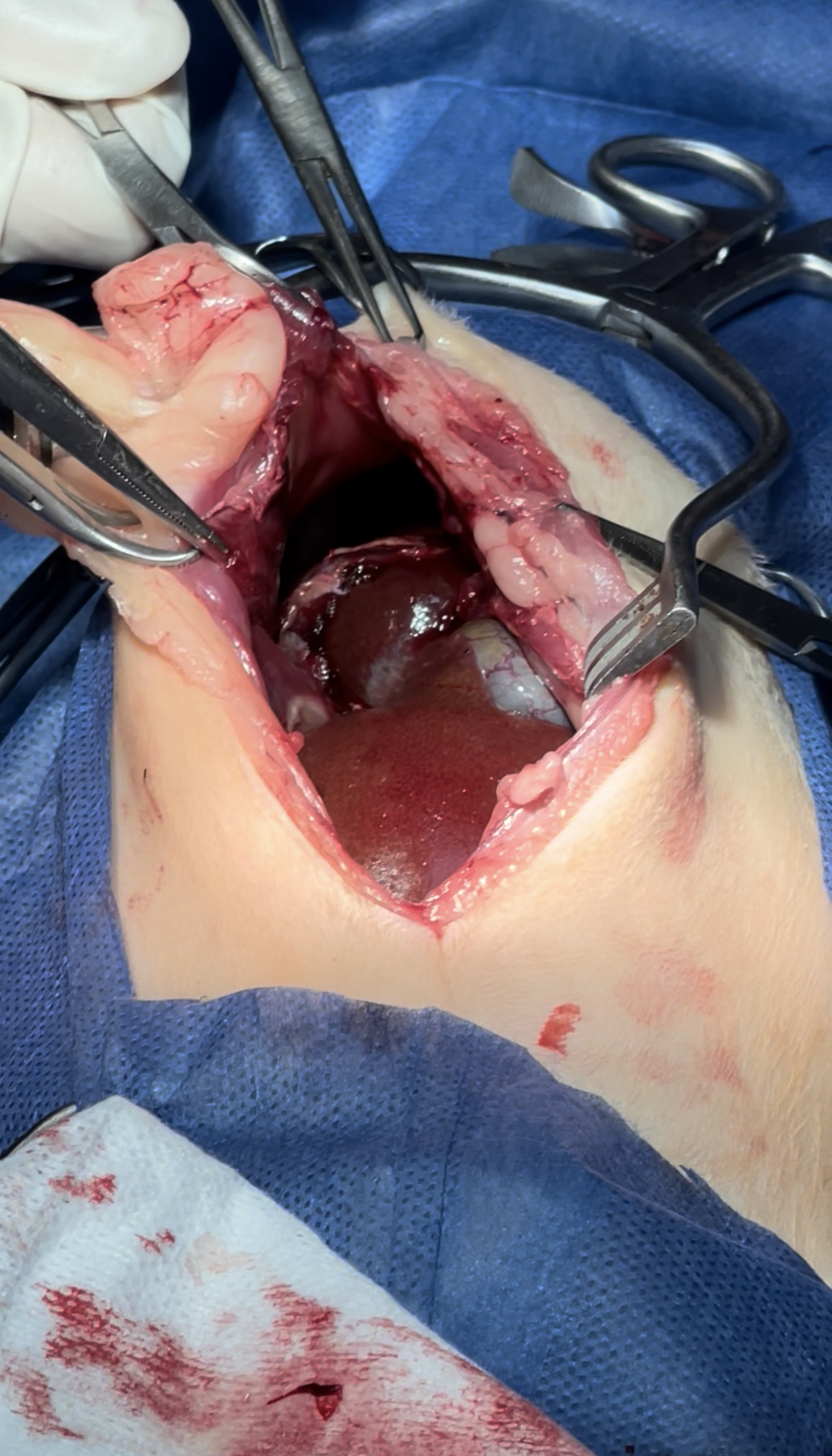 صورة المعرض