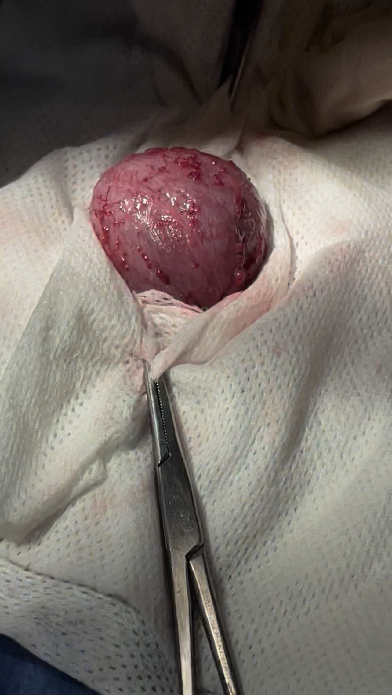 صورة المعرض