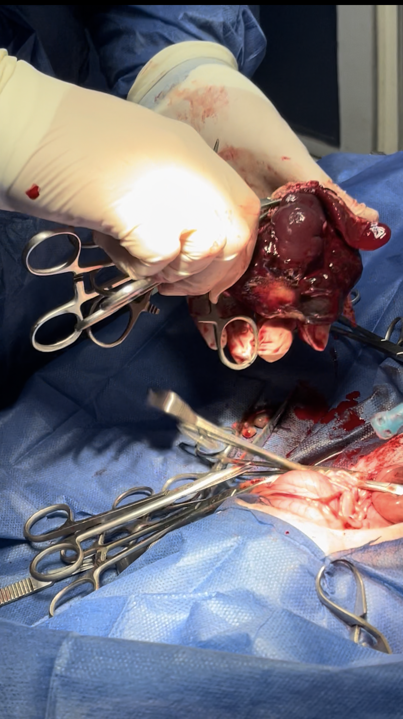 صورة المعرض