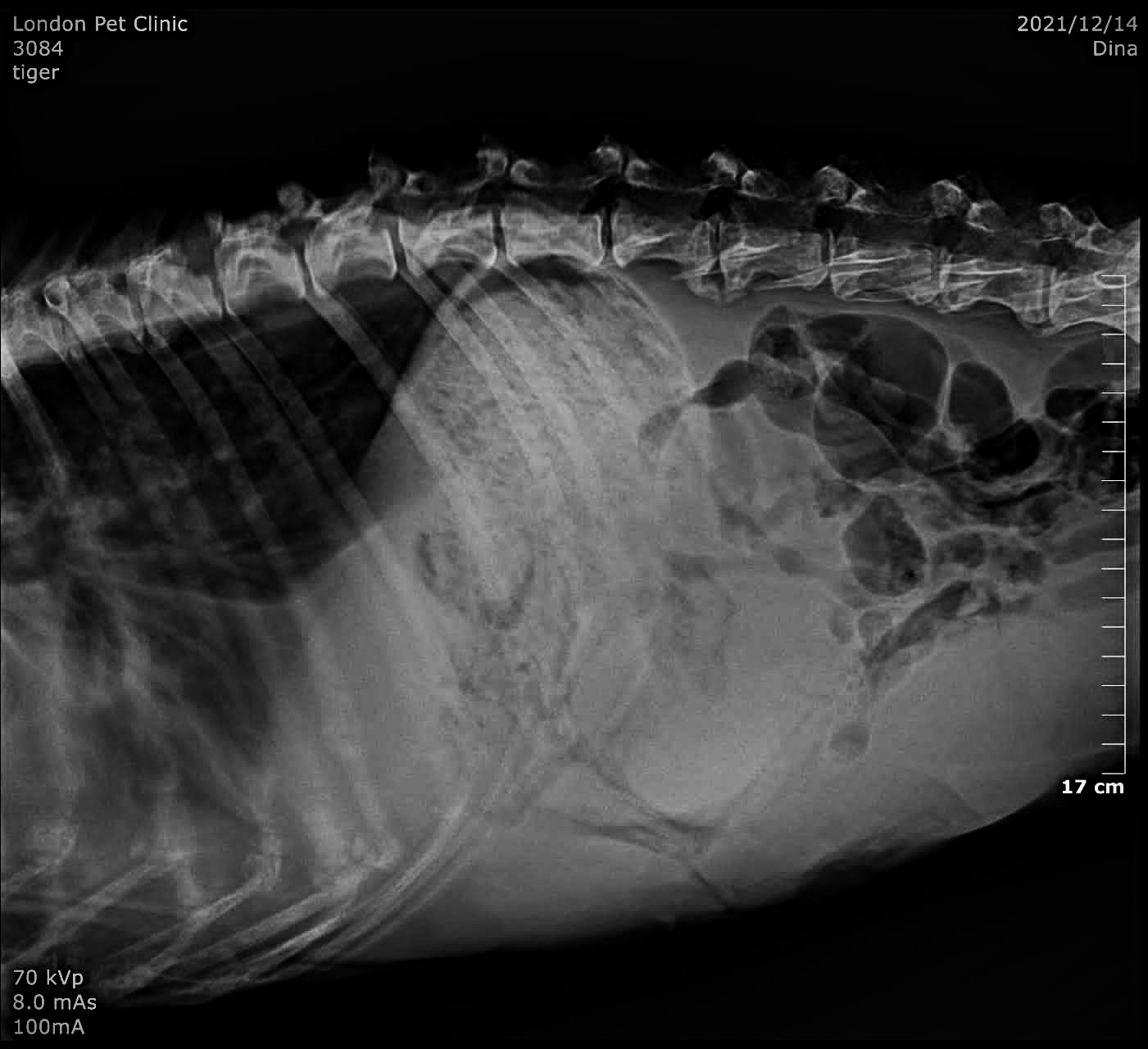 صورة المعرض