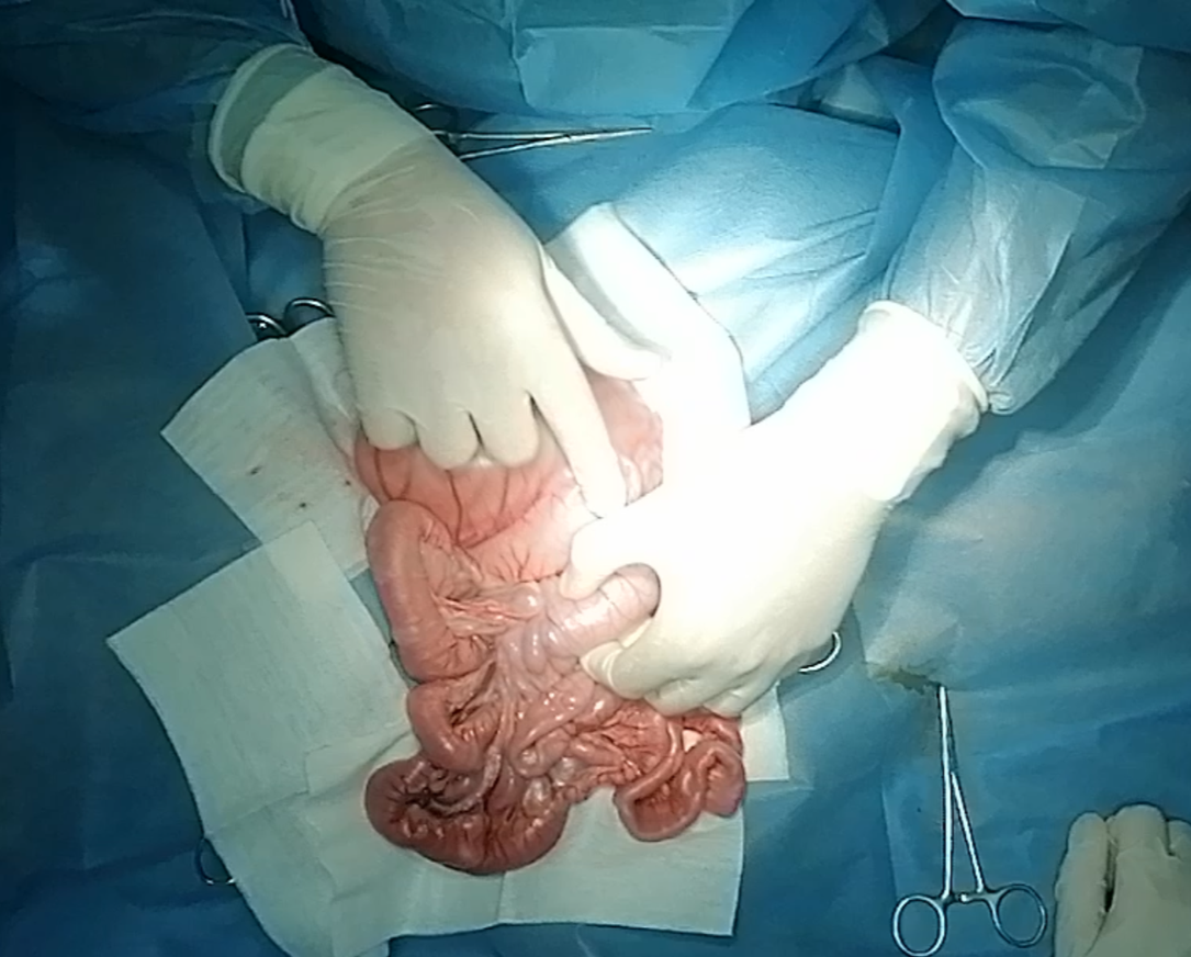 صورة المعرض