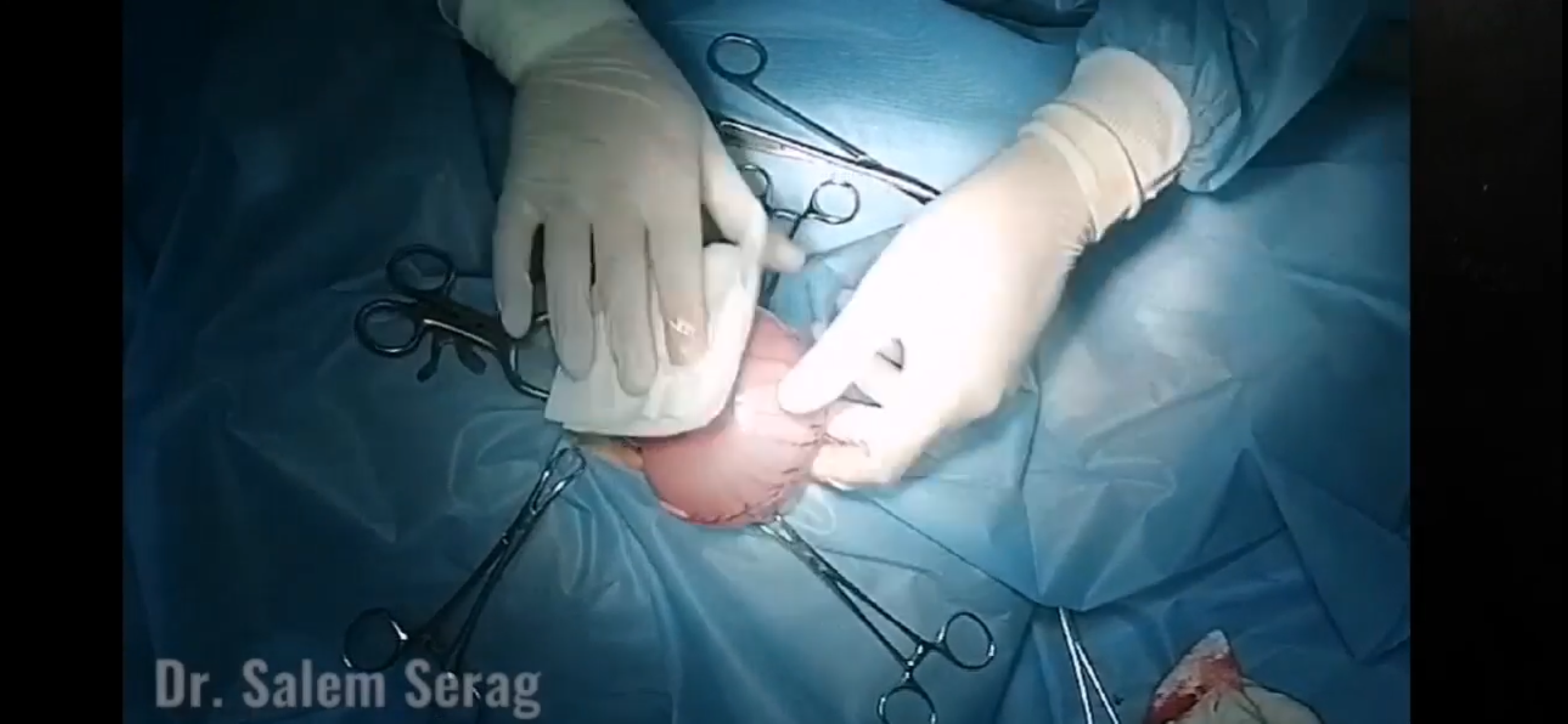 صورة المعرض