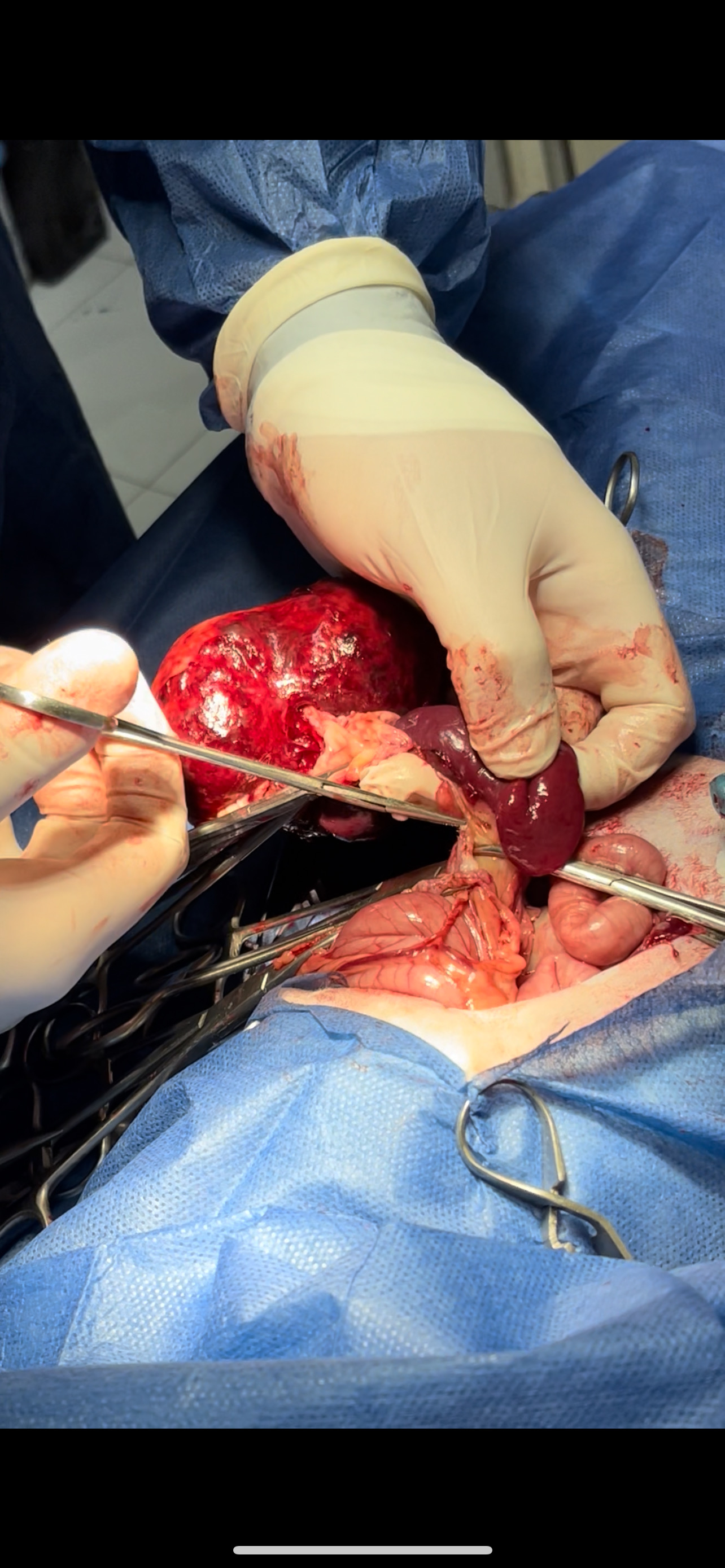 صورة المعرض