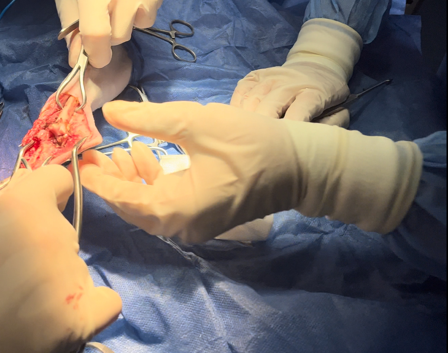 صورة المعرض