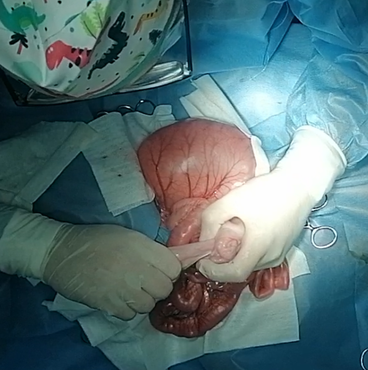 صورة المعرض