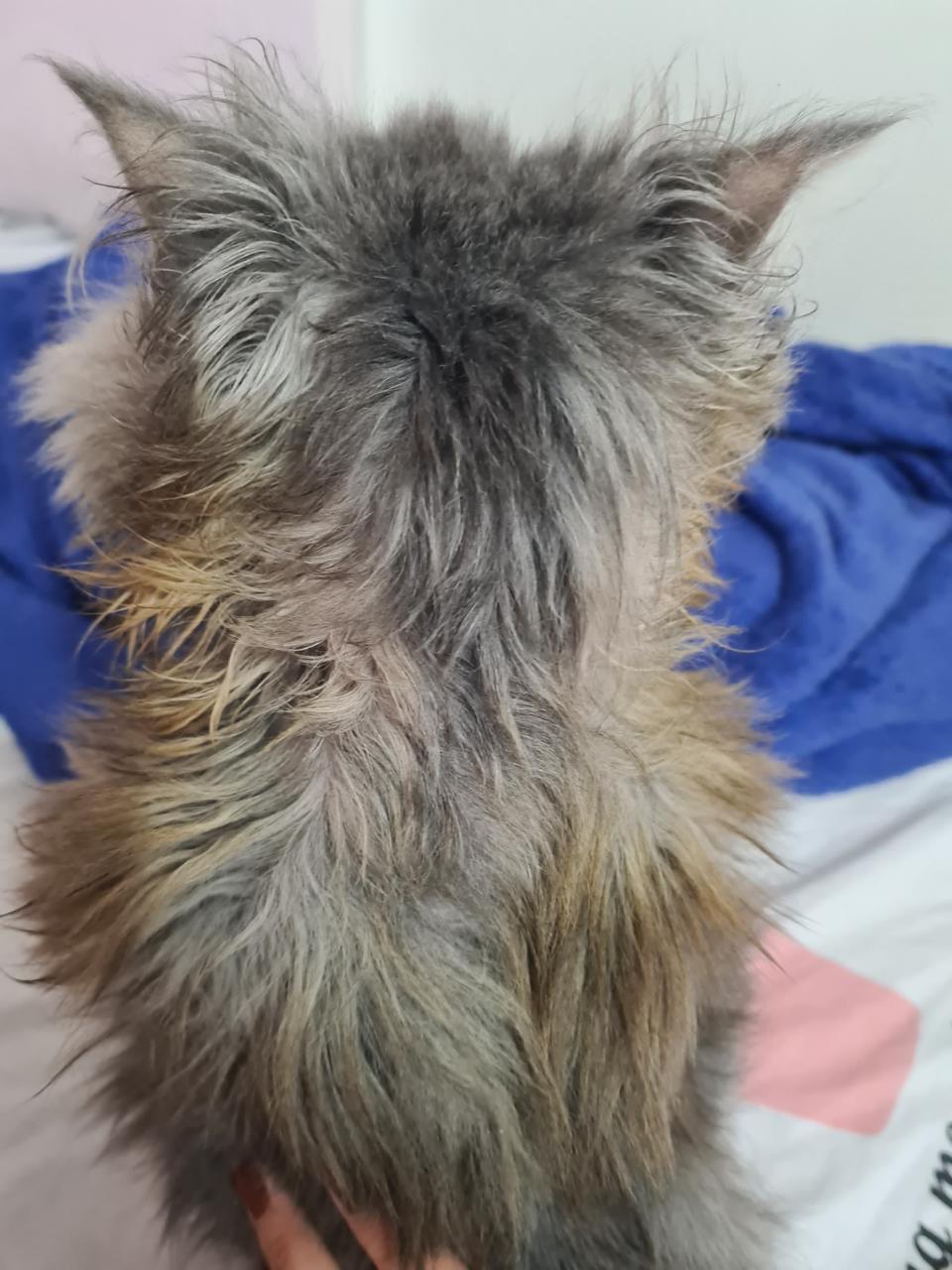 صورة المعرض