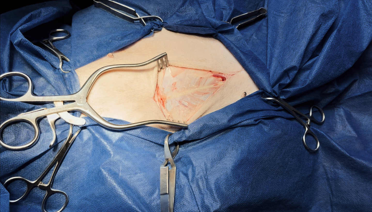 صورة المعرض