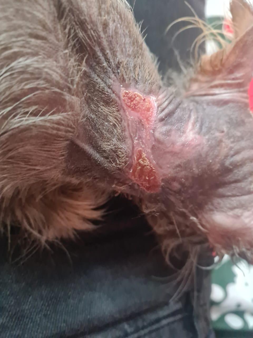 صورة المعرض