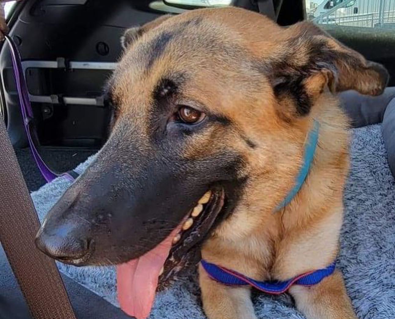 صورة المعرض