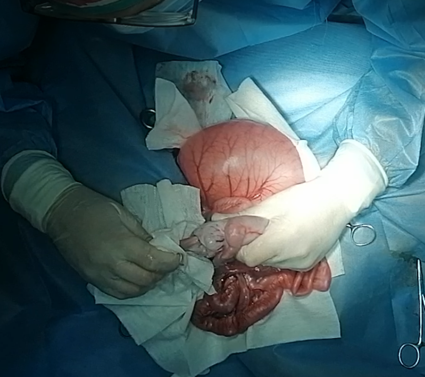 صورة المعرض