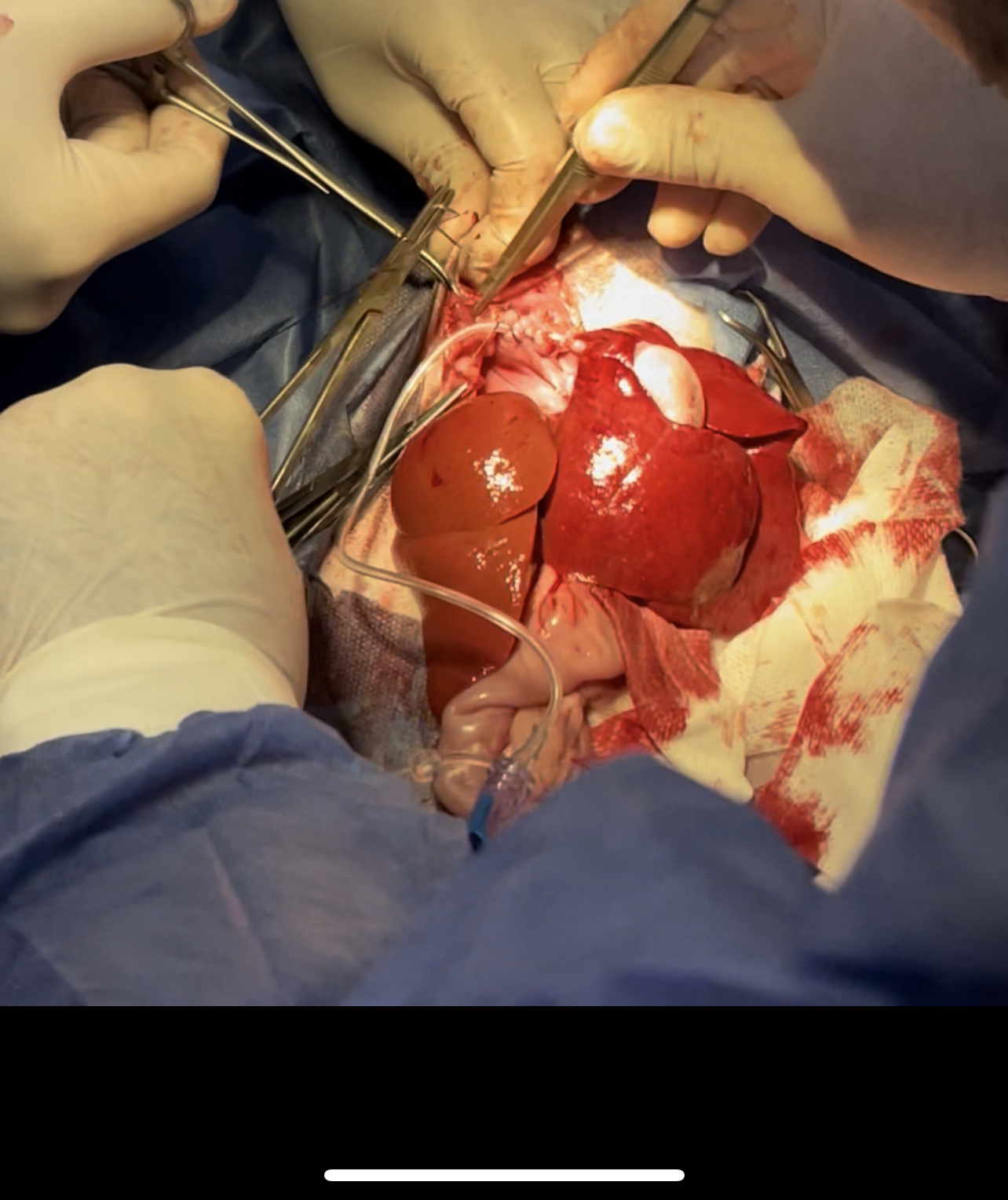 صورة المعرض