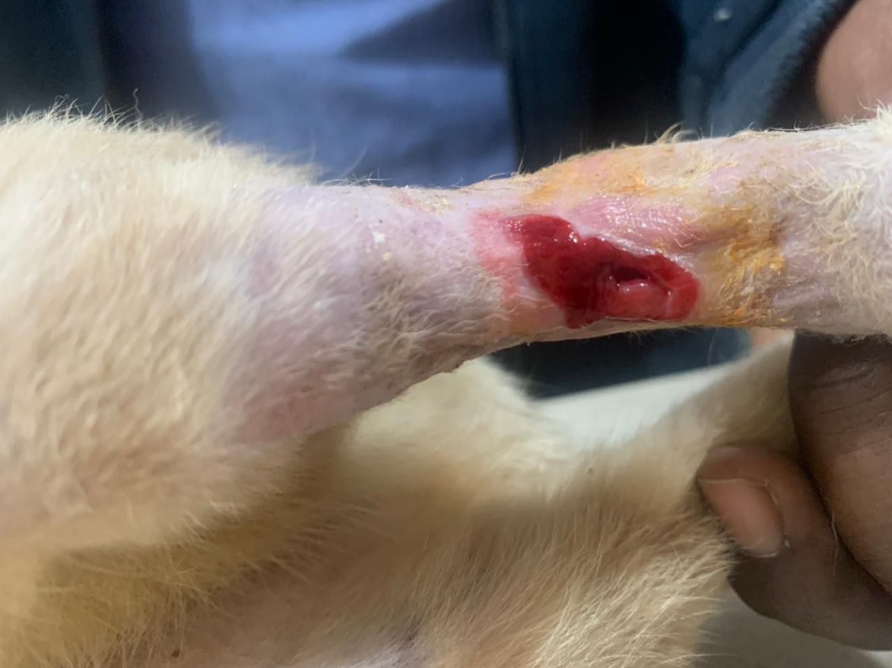 صورة المعرض