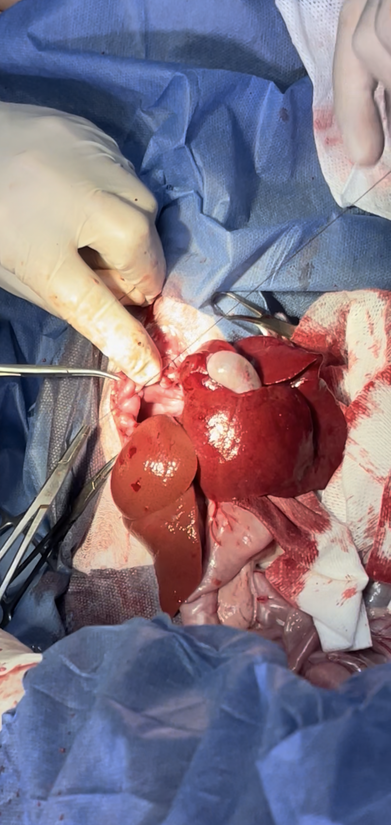 صورة المعرض