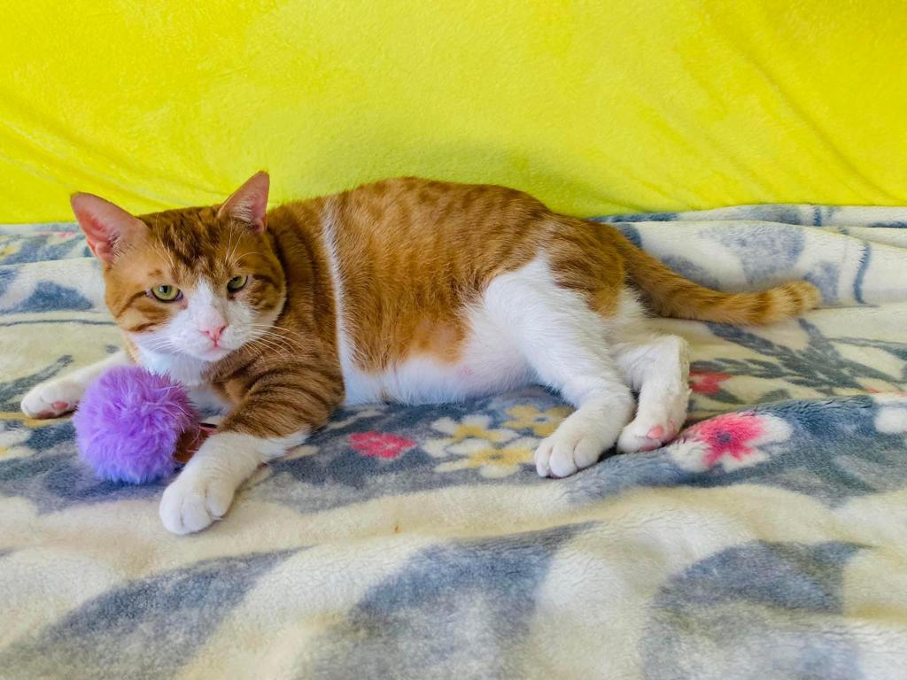 صورة المعرض