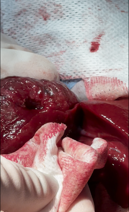 صورة المعرض