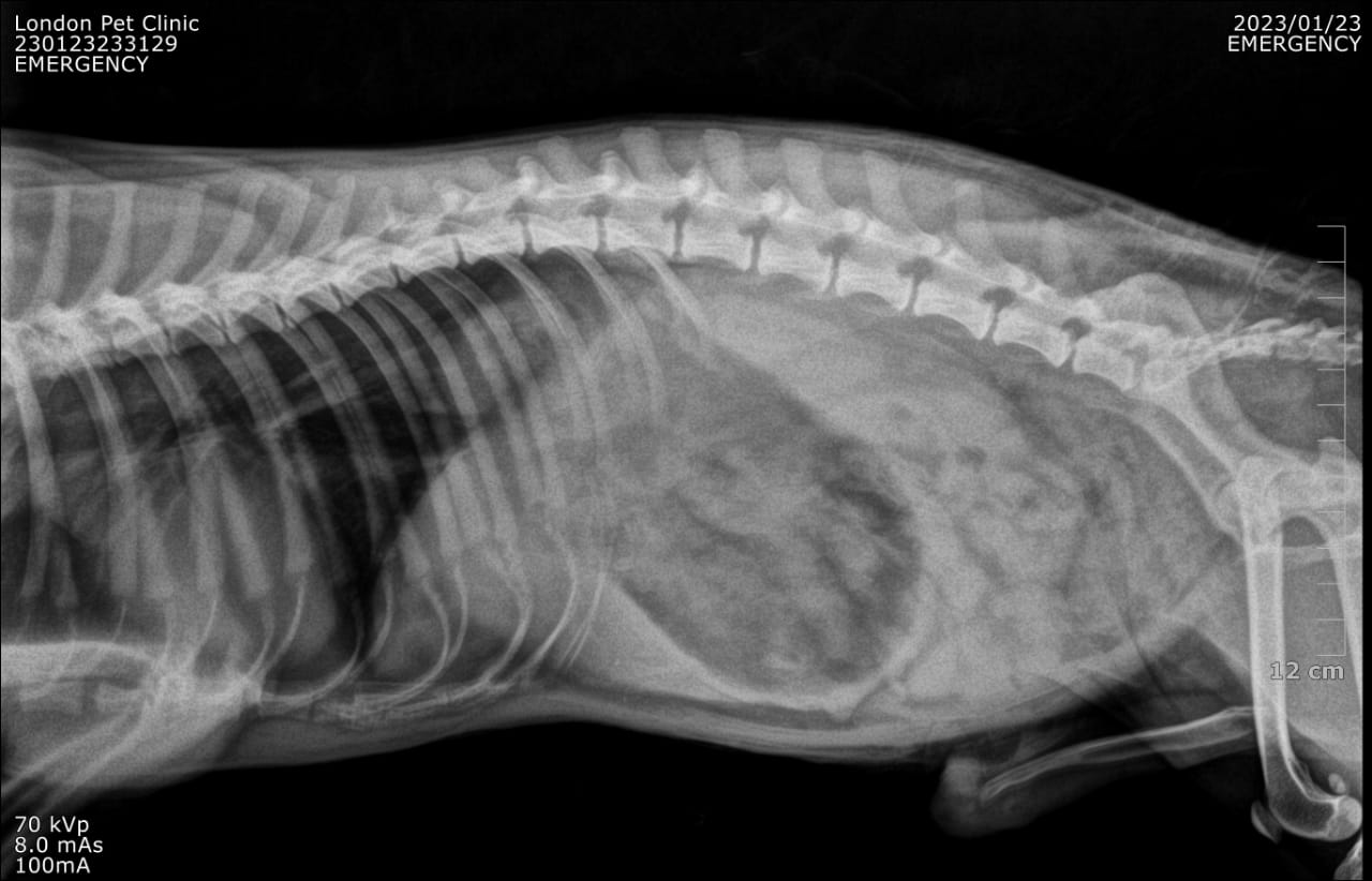 صورة المعرض