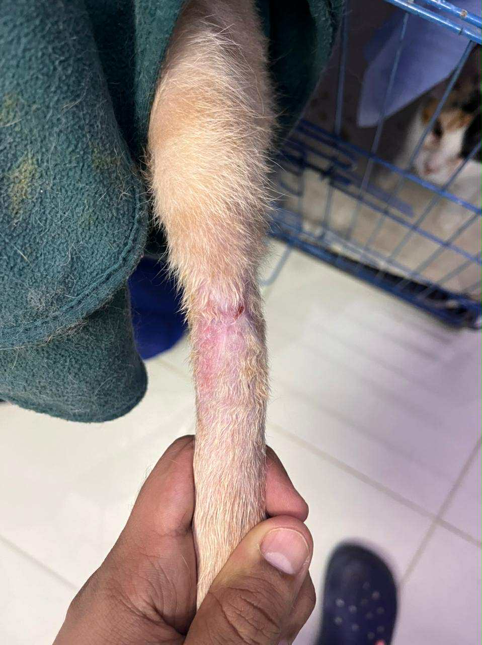 صورة المعرض