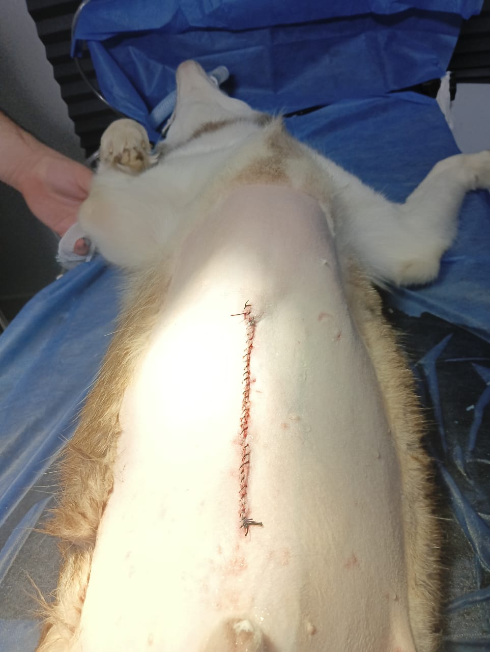 صورة المعرض