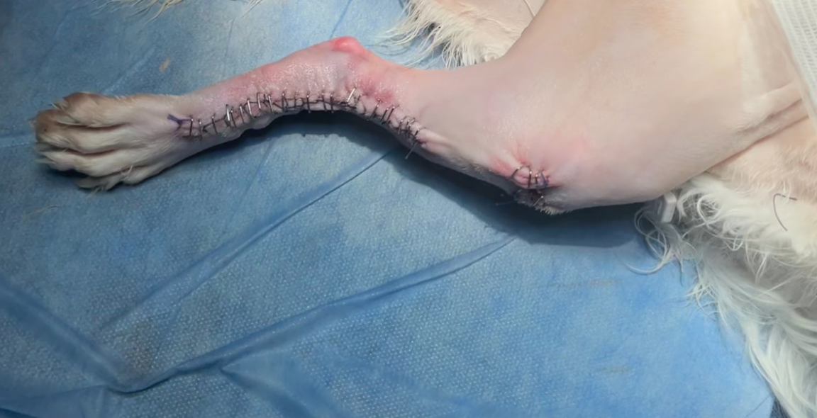 صورة المعرض