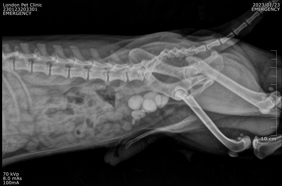 صورة المعرض