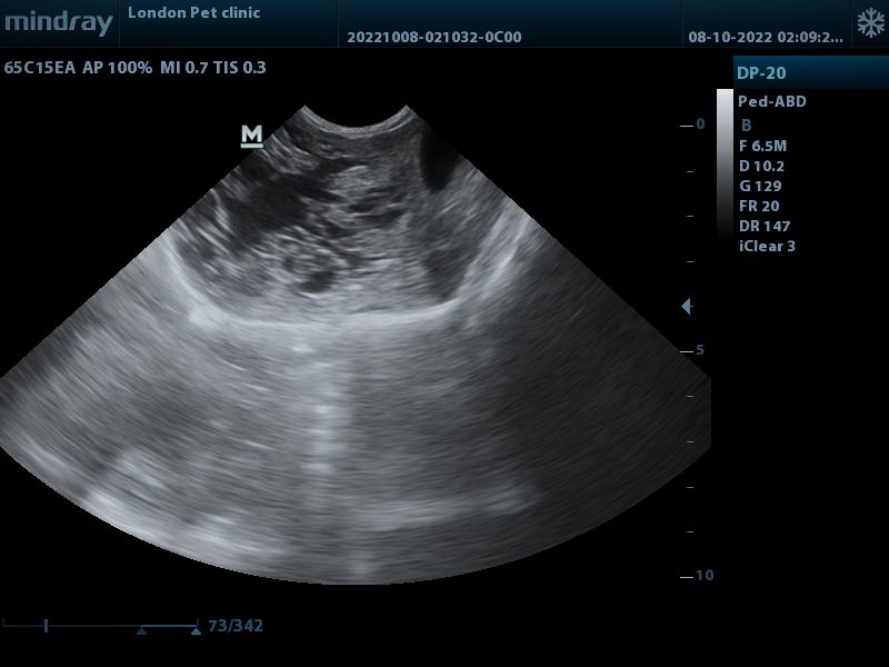 صورة المعرض