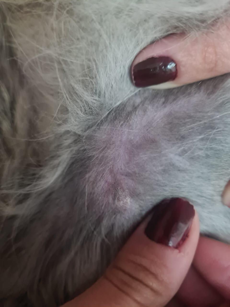 صورة المعرض