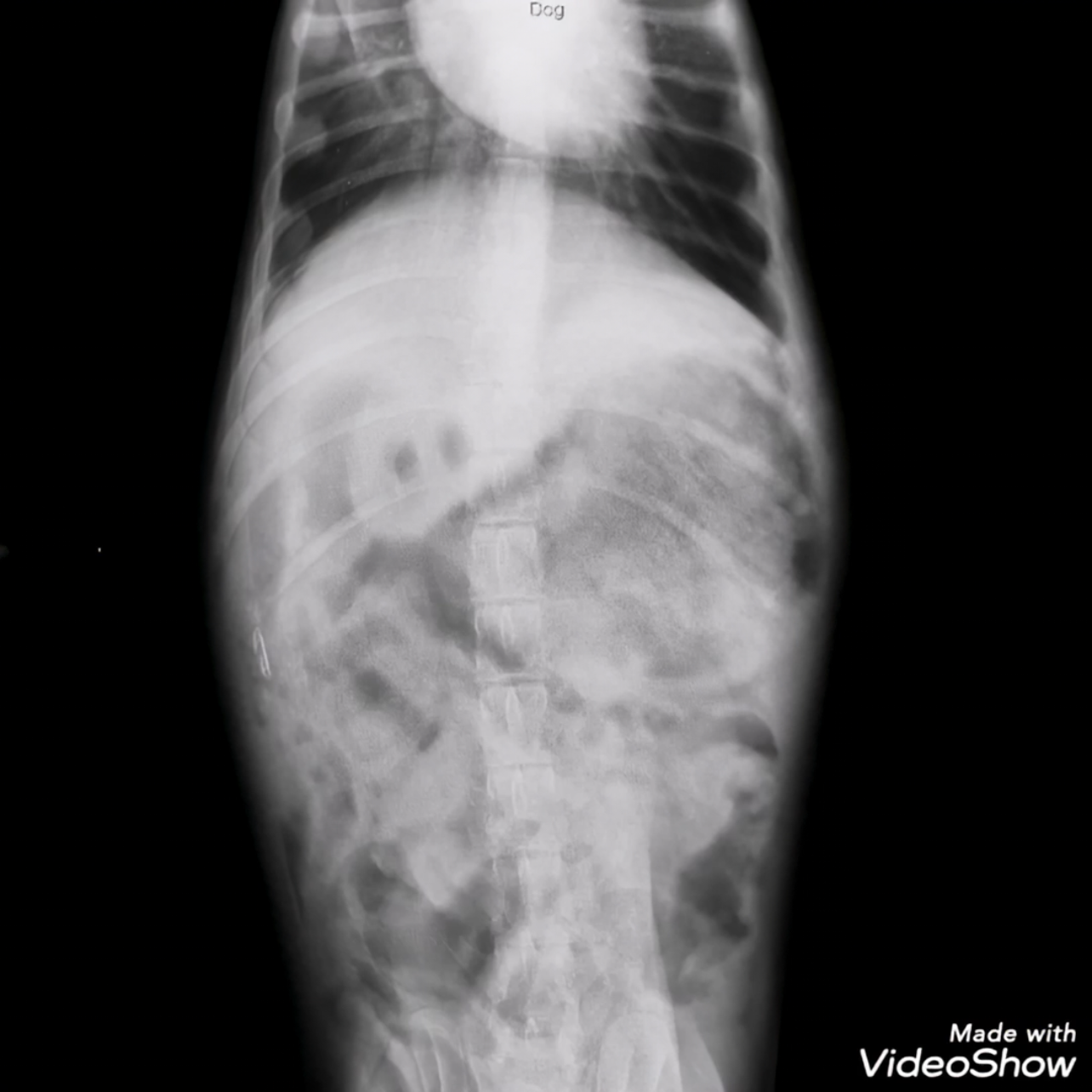 صورة المعرض