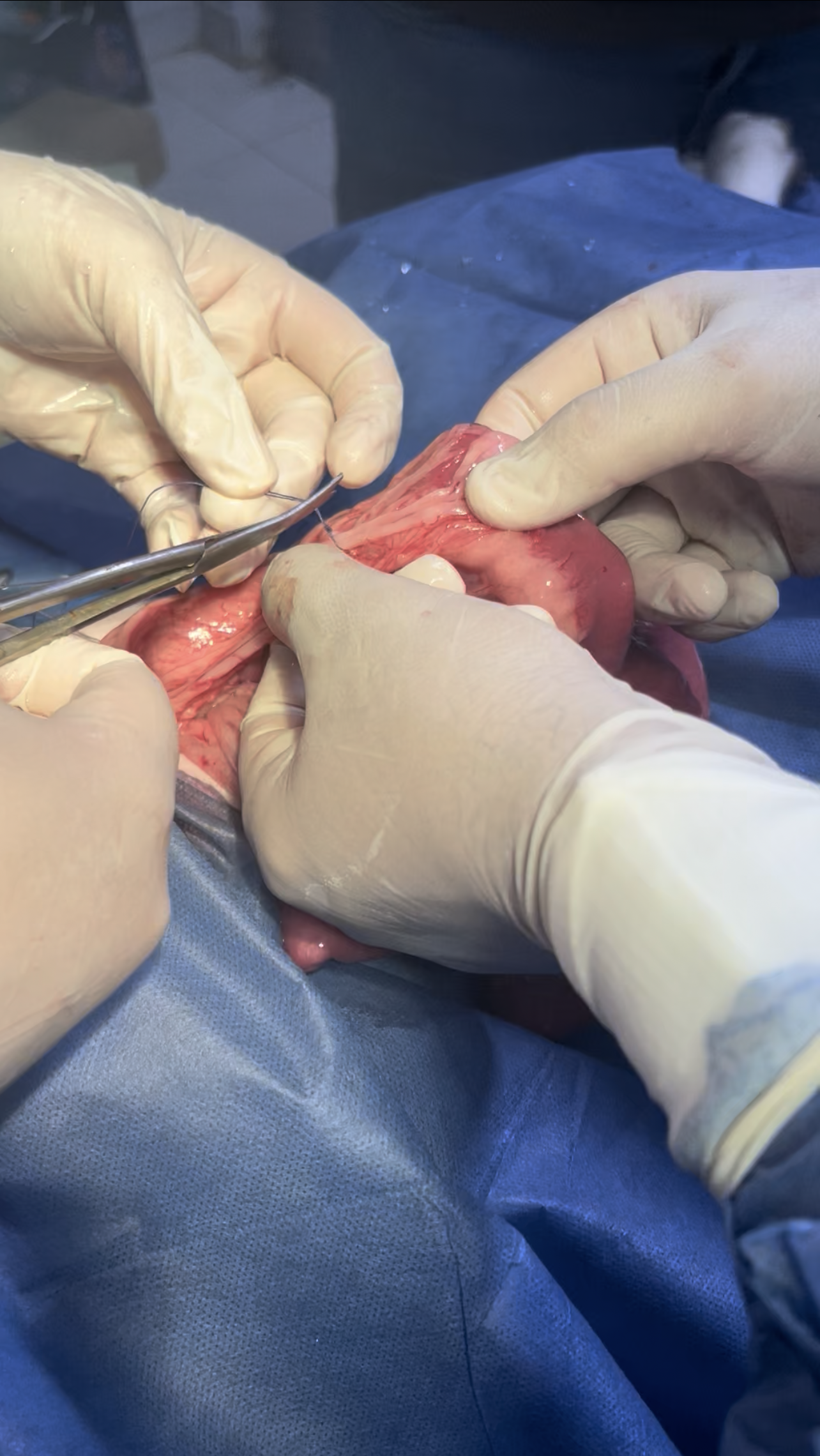 صورة المعرض