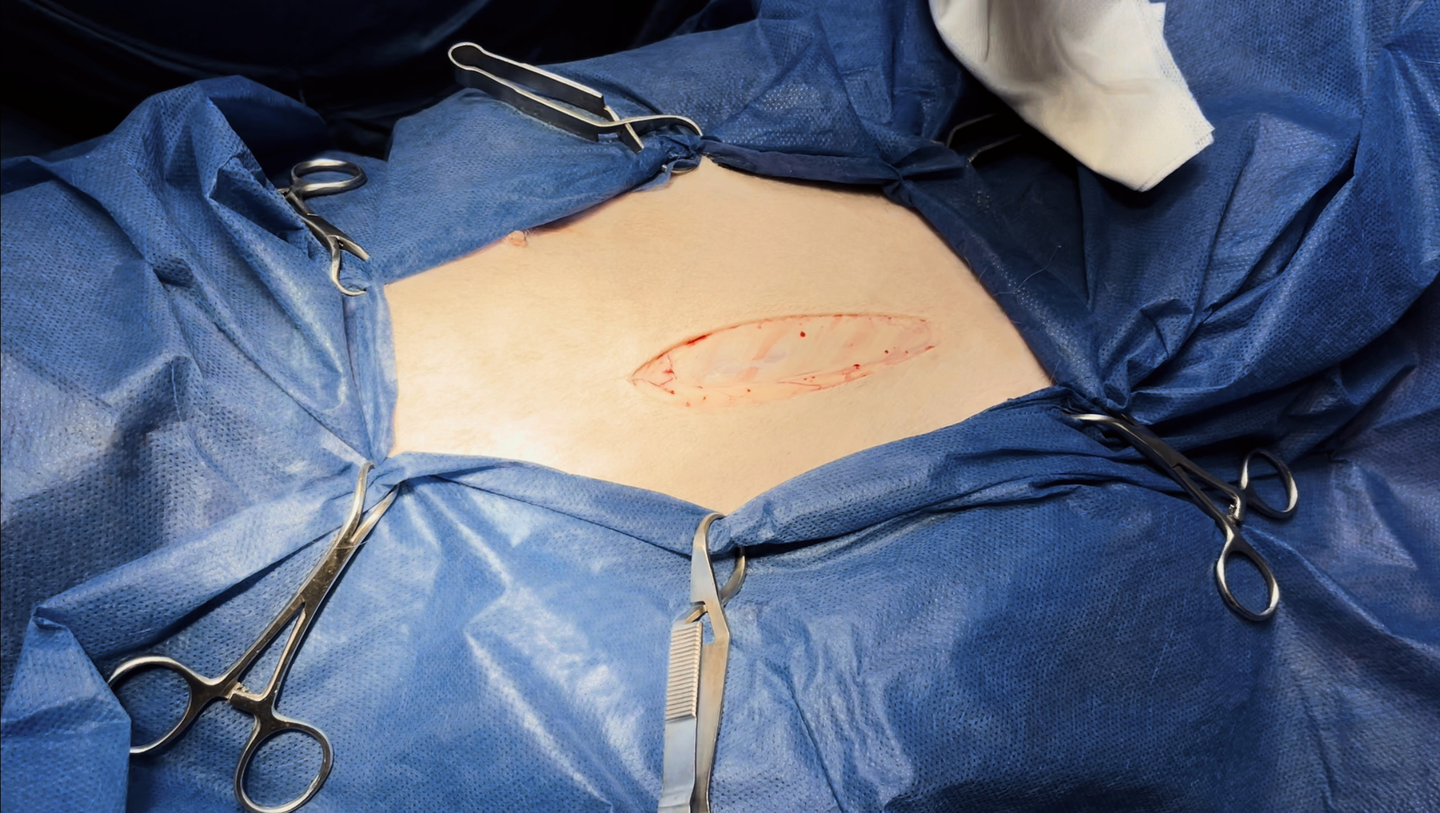 صورة المعرض