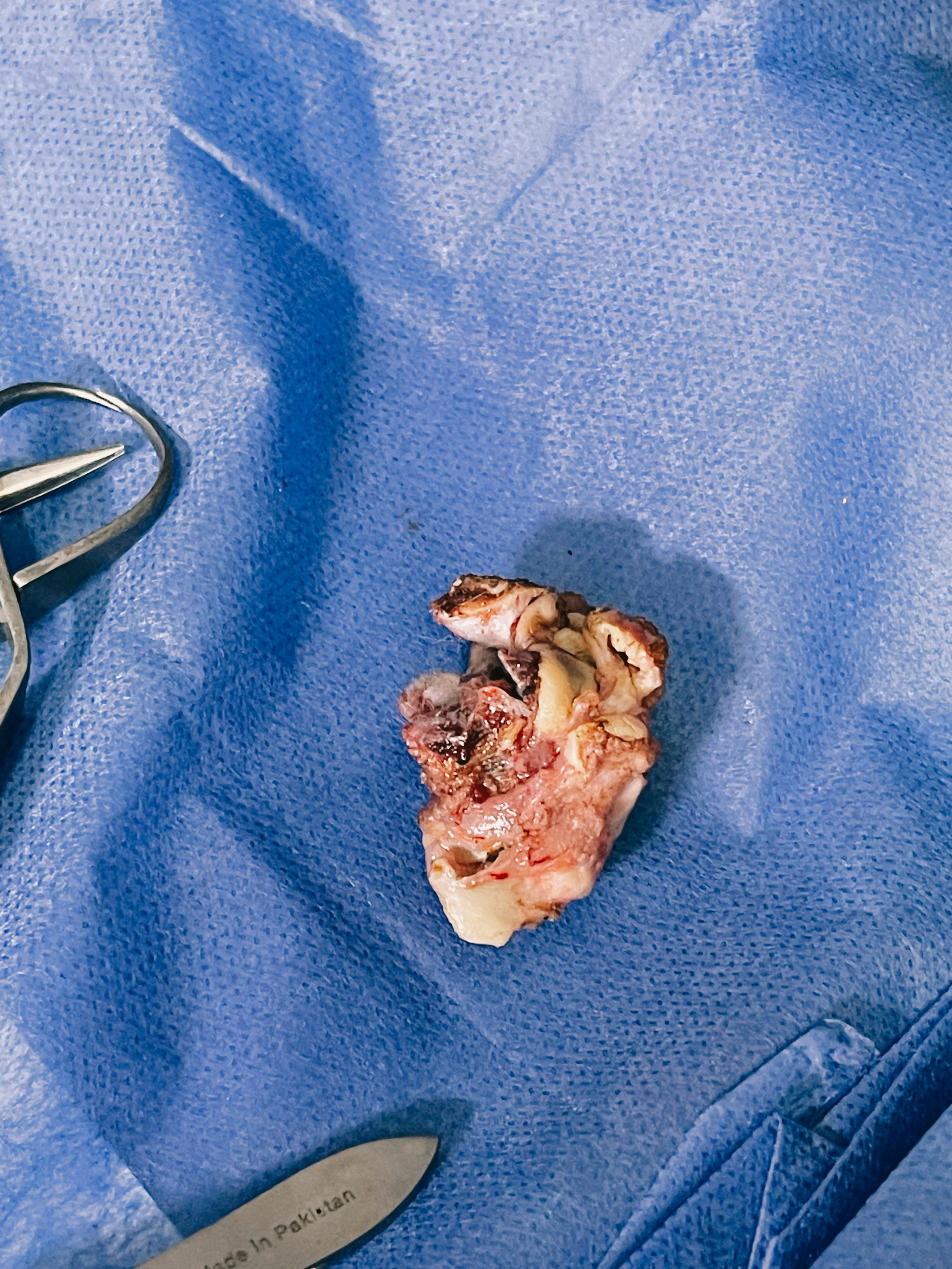 صورة المعرض