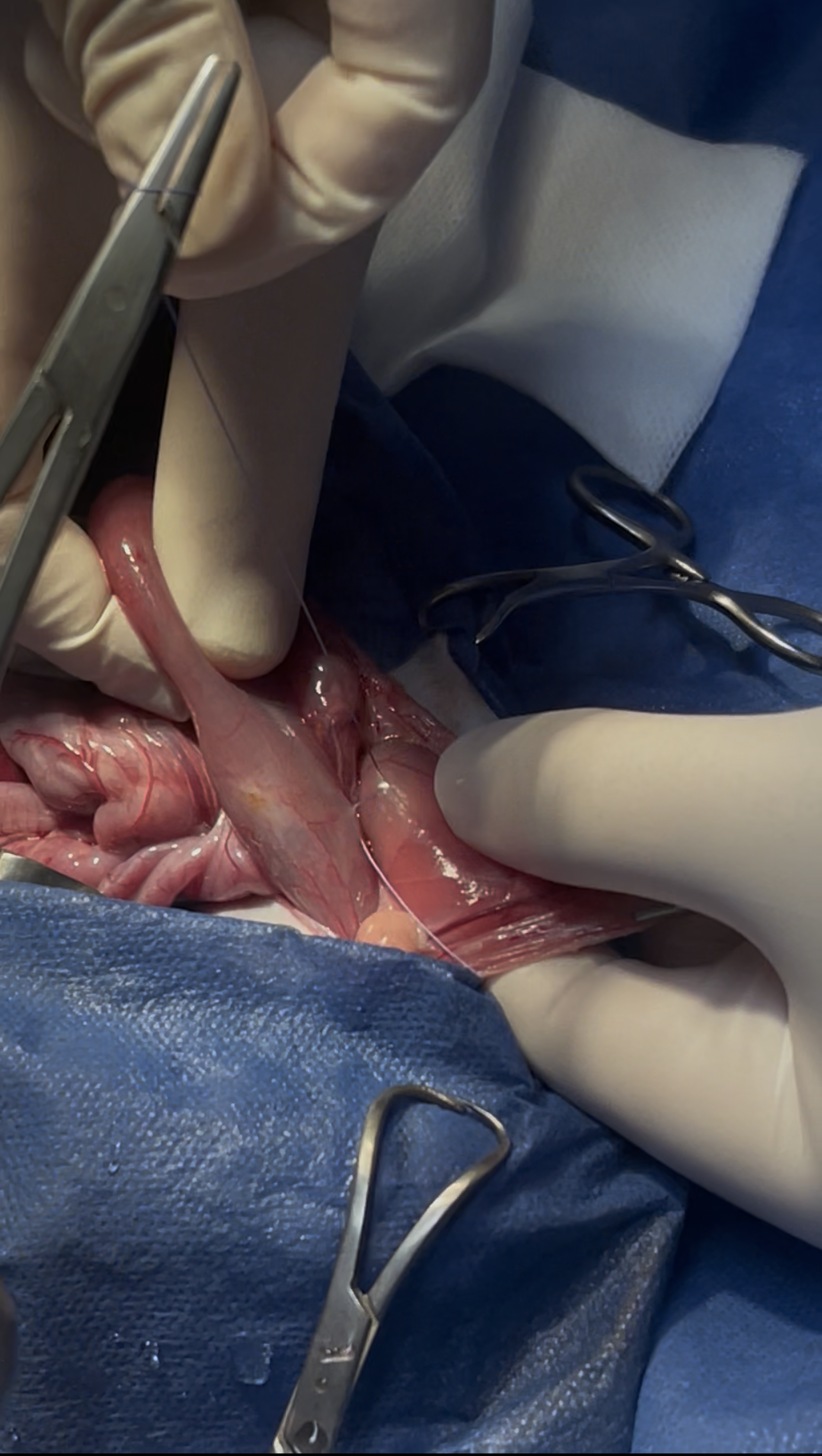 صورة المعرض