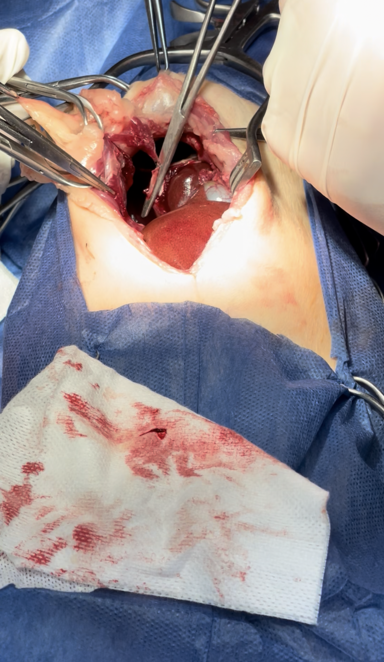 صورة المعرض