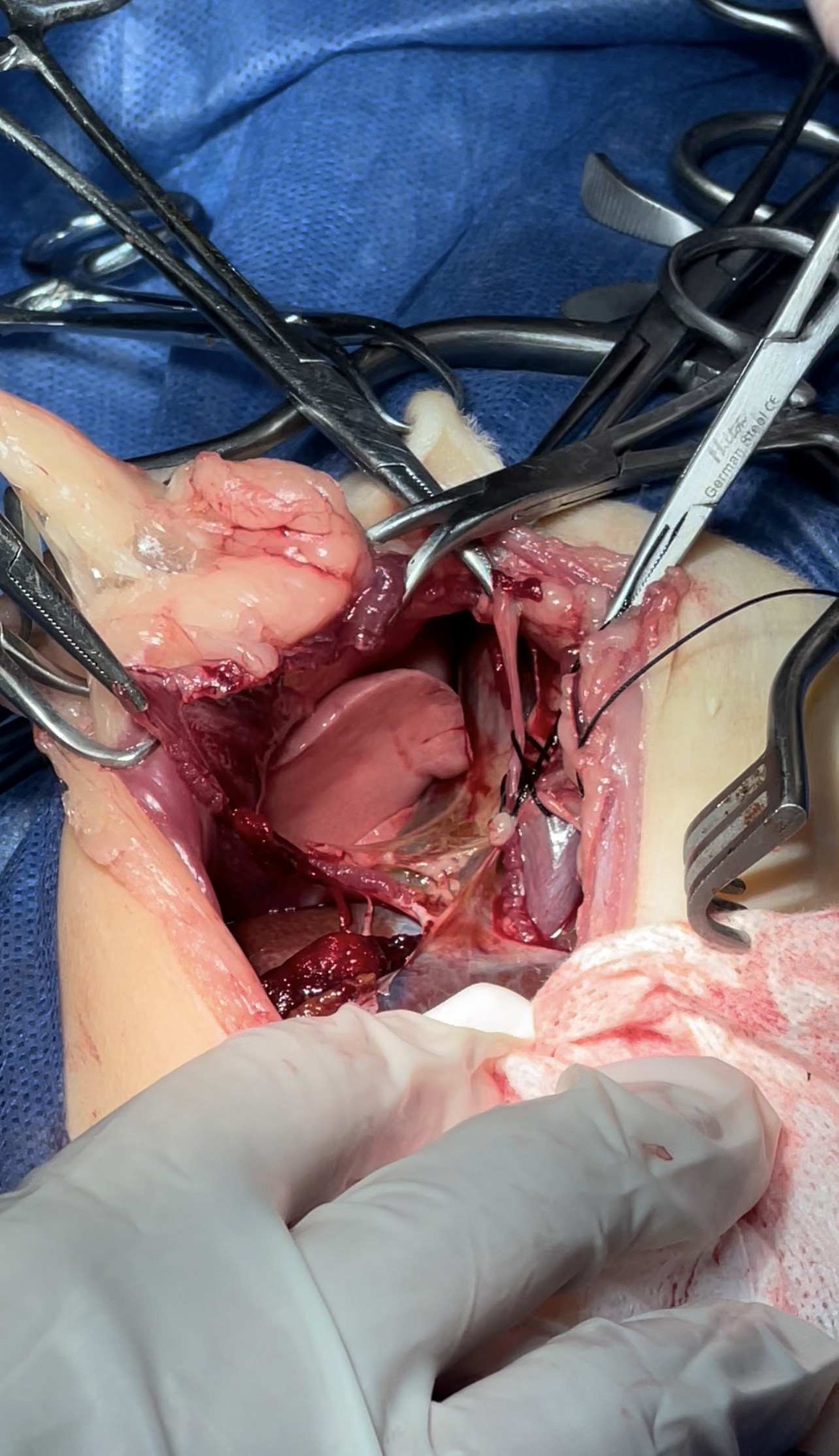 صورة المعرض