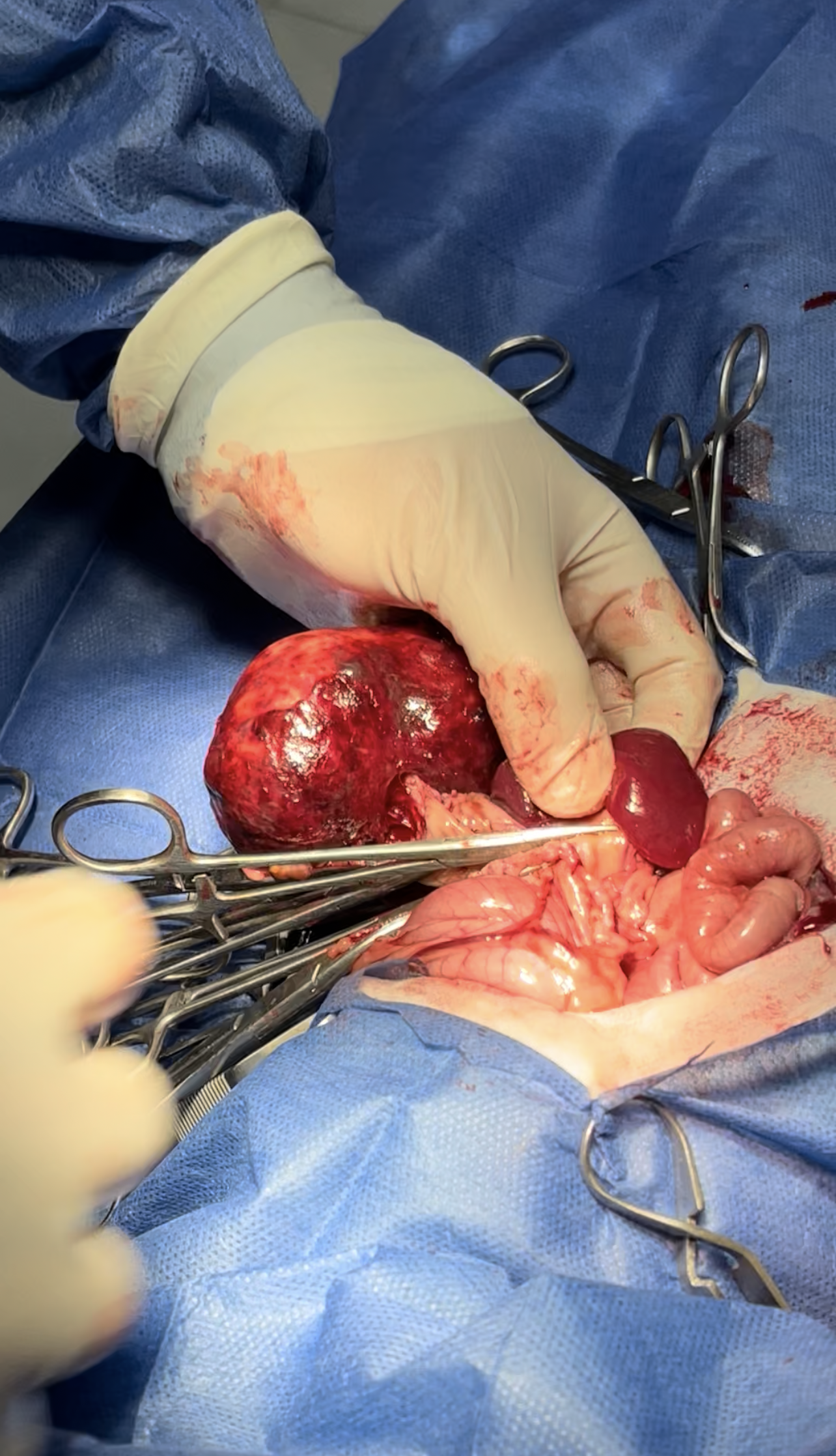 صورة المعرض